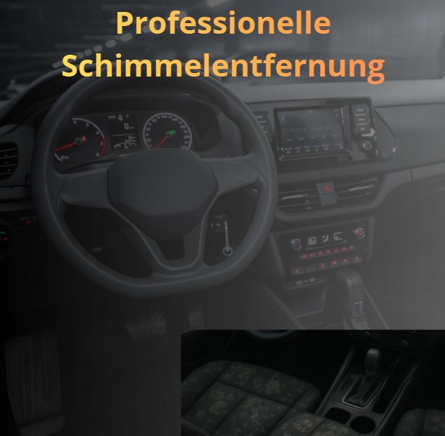 Ozonbehandlung für Autos