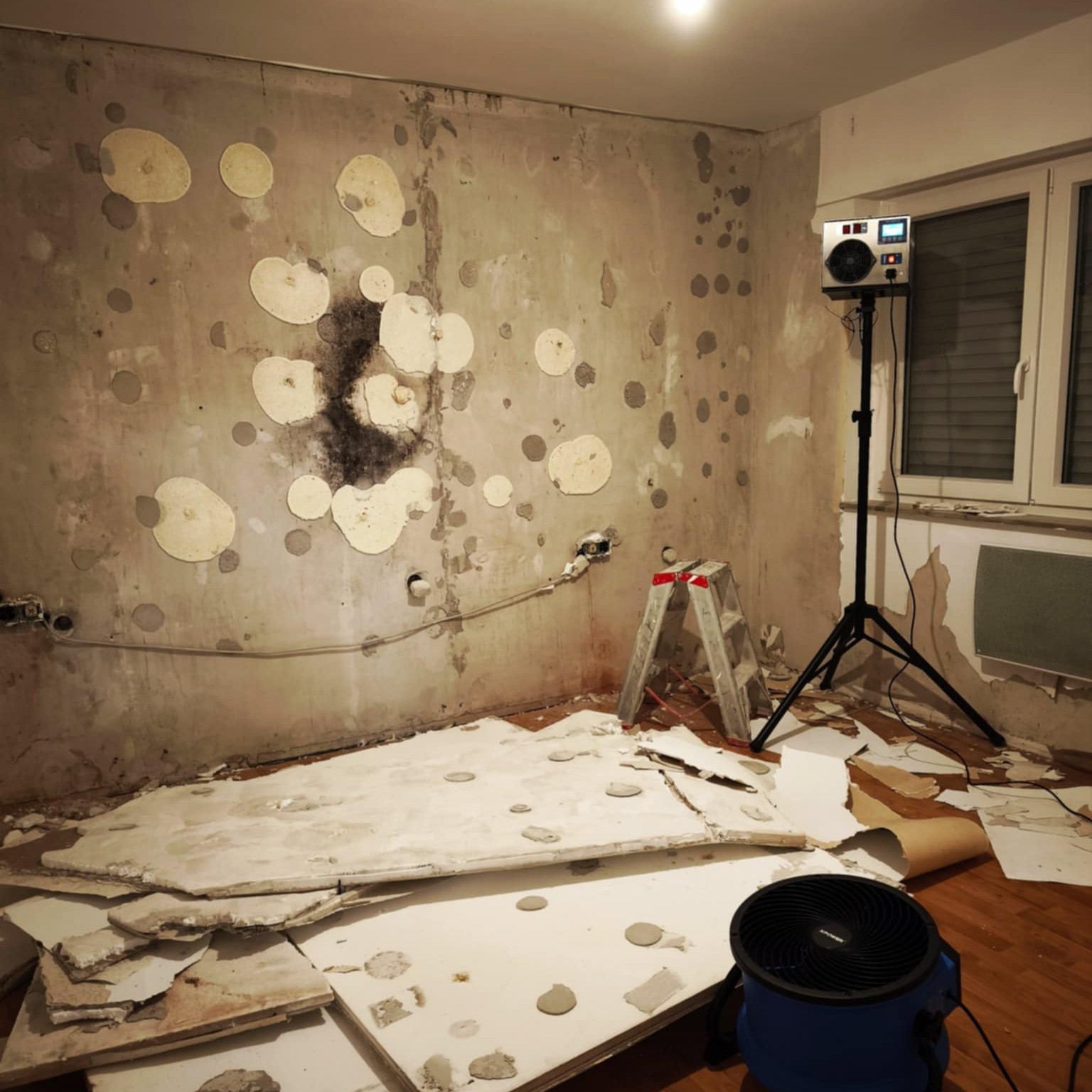 Ozonbehandlung fĂŒr Autos