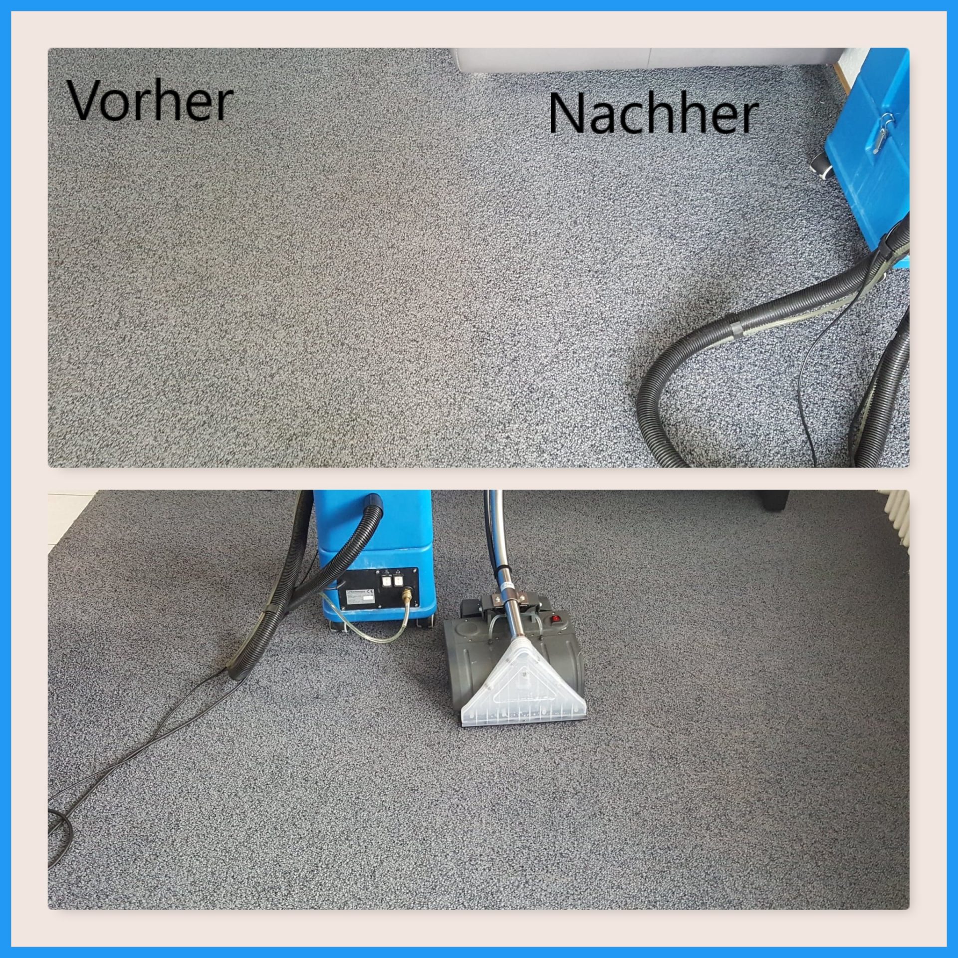 Der Teppich erstrahlt nach der Reinigung durch MO Clean wieder in altem Glanz