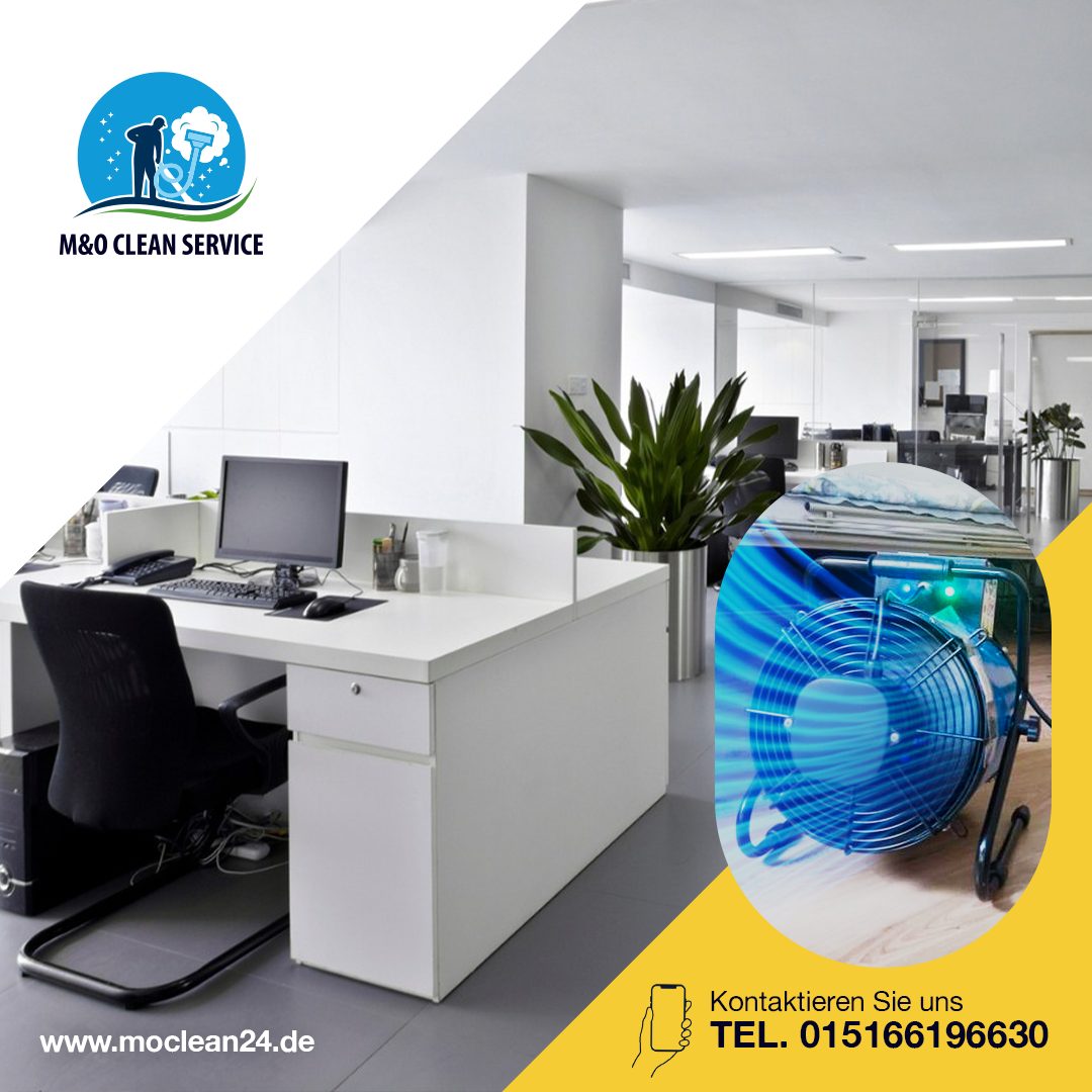 Ozonbehandlung für Büros