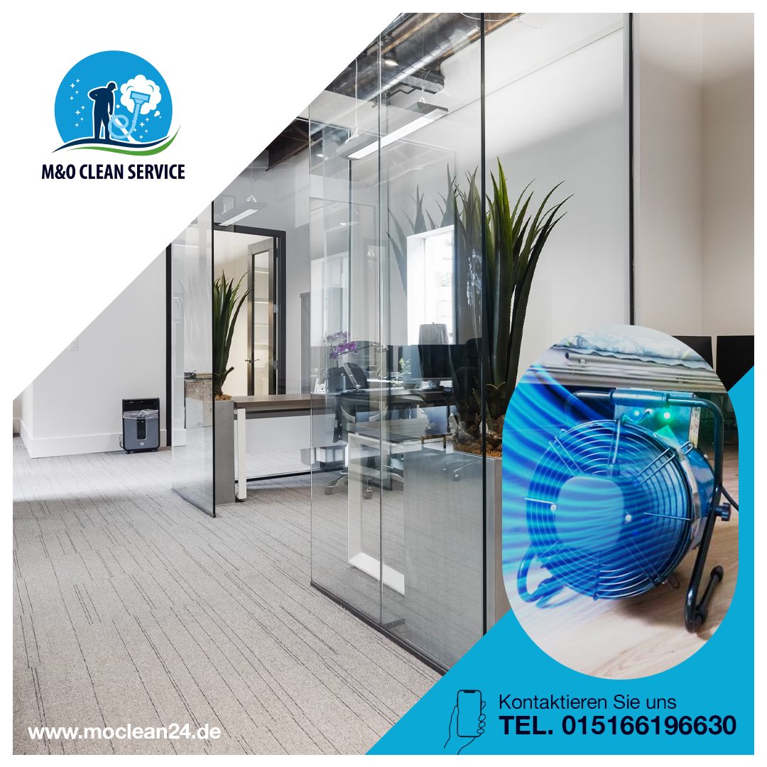 Ozonbehandlung für Büros